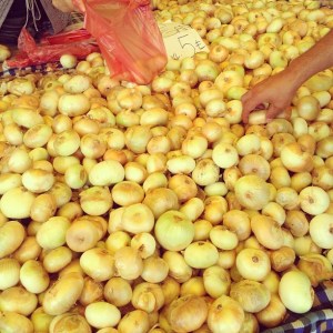 1002972_10152009279358776_184050791_n