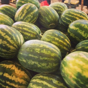 1005594_10152009289998776_166659883_n