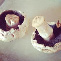 1017445_10152137798223776_1487251690_n