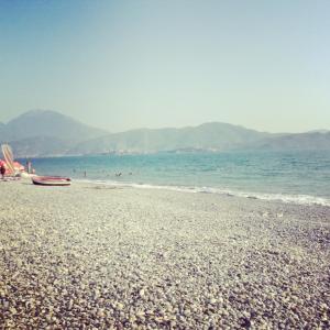 1146559_10152132695978776_1982276888_n