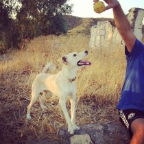 1175289_10152137727783776_1207818935_n