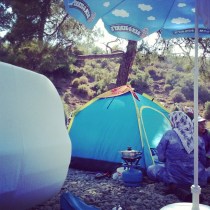 1185377_10152147795048776_1595377565_n