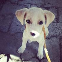 1235382_10152140248783776_1114677345_n