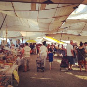 533226_10152129343428776_1439203915_n