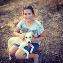 602426_10152135430353776_1723097535_n