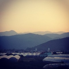 922951_10151903774178776_1839467885_n