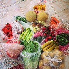 945351_10151904623098776_475785326_n