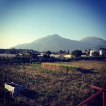 994868_10152073653428776_1727503151_n