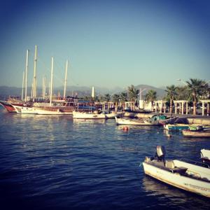 1005499_10152193541753776_846135146_n