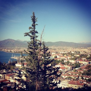 1098152_10152200215873776_2140770675_n