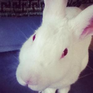 1175133_10152161769818776_306540_n