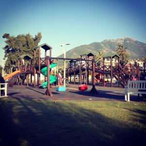 1209035_10152179274723776_1452774052_n