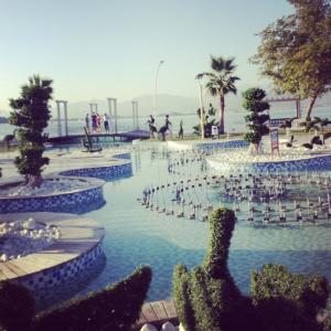 1240627_10152193540498776_409843949_n