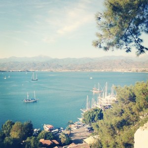 579056_10152200197068776_1615099212_n