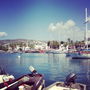 1234891_10152209361778776_2044265852_n