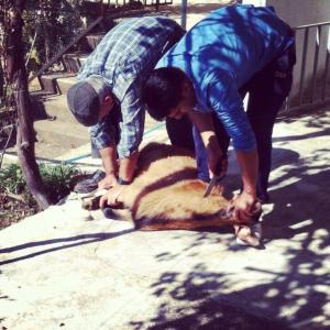 1375729_10152278074408776_2129081276_n