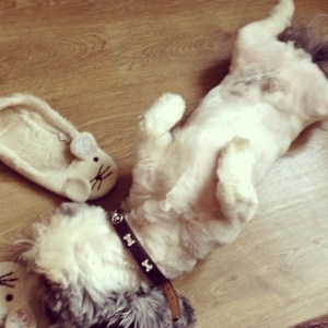 1376460_10152233160543776_118609643_n