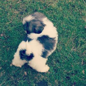 1378643_10152262753568776_173106278_n