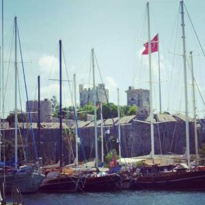 1381416_10152239495278776_640746391_n