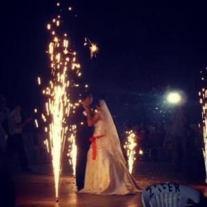 1381849_10152294075073776_465431830_n