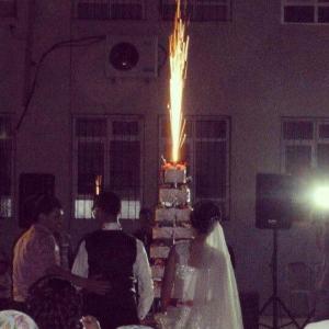 1383265_10152294074648776_1720813923_n