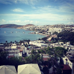 971073_10152211289618776_1410163214_n