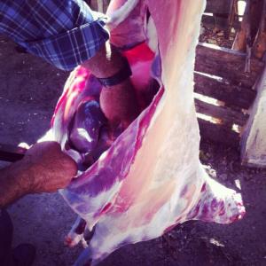 994940_10152278074778776_58323611_n