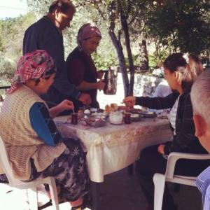 994954_10152278073228776_1588340989_n