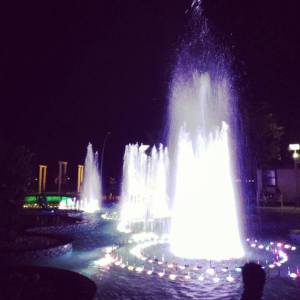 1380784_10152265860368776_2070575392_n