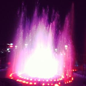 1383915_10152265856798776_1986727918_n