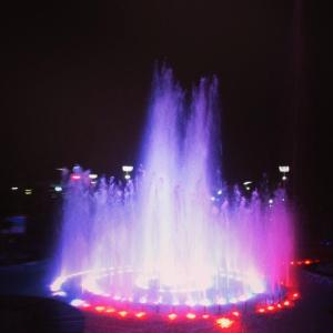 1385474_10152265856723776_1982180845_n (1)