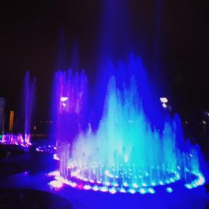 1393042_10152265864333776_472098626_n