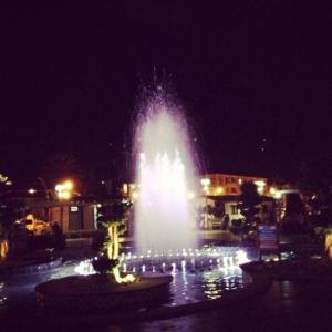 541883_10152265856268776_646848328_n