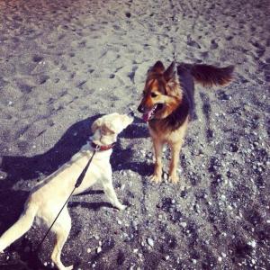 1002166_10152548544018776_1516717453_n