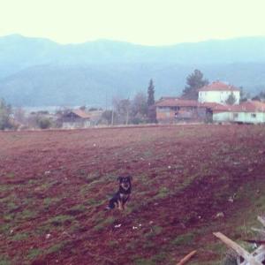 1424275_10152515231478776_903545008_n