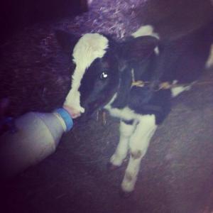 1479465_10152515231293776_786791976_n