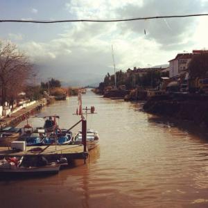 149331_10152553824833776_71861587_n