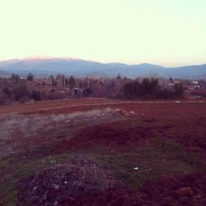 1524909_10152515230763776_1943164863_n