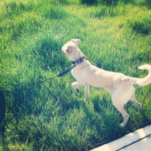 1623605_10152553822658776_537321336_n