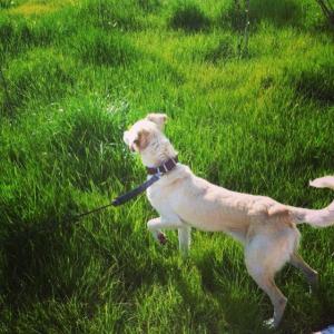 1654390_10152548544543776_1377276844_n