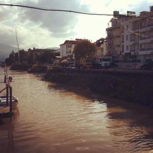 1782107_10152553824633776_1210840190_n