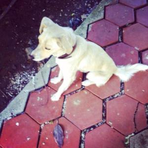 1451514_10152621443518776_716554228_n