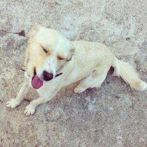 1653717_10152621442853776_1088746271_n