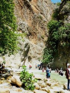 1891256_10152591855158776_1171812415_n