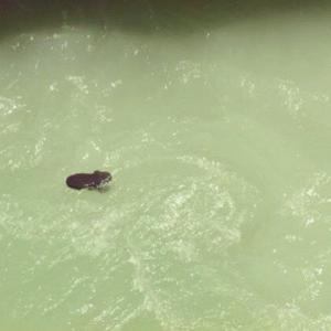 1912524_10152591856478776_641130024_n