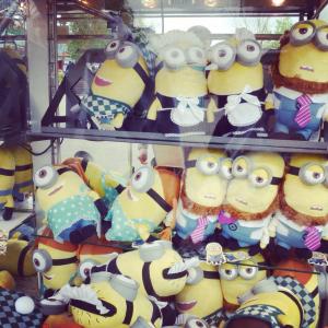 10178027_10152718590343776_1913226262_n