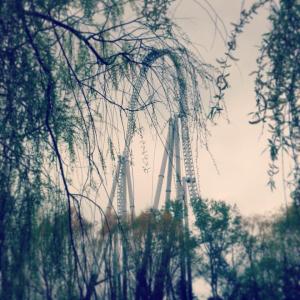 923566_10152718589653776_1113233827_n