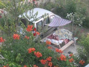 532708_10151194562648776_1972194175_n