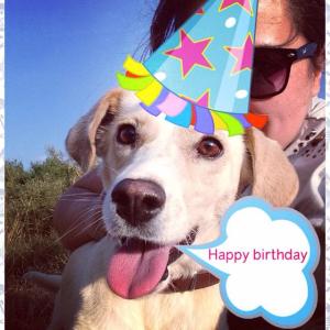 10516795_10152956982098776_6948216894623401858_n