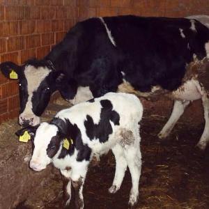 10392461_10153342273133776_1712343577967963919_n